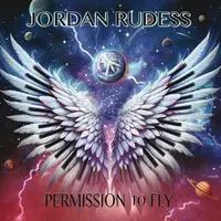 Permission To Fly - Vinyl