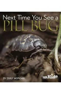 Next Time You See a Pill Bug