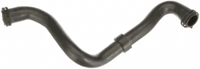 Furtun radiator inferior (32mm 31mm) potrivit VOLVO C30, S40 II, V50; FORD C-MAX, FOCUS C-MAX, FOCUS II, FOCUS II KOMBI 1.4 1.6 10.03-12.12