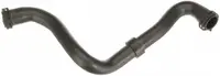 Furtun radiator inferior (32mm 31mm) potrivit VOLVO C30, S40 II, V50; FORD C-MAX, FOCUS C-MAX, FOCUS II, FOCUS II KOMBI 1.4 1.6 10.03-12.12