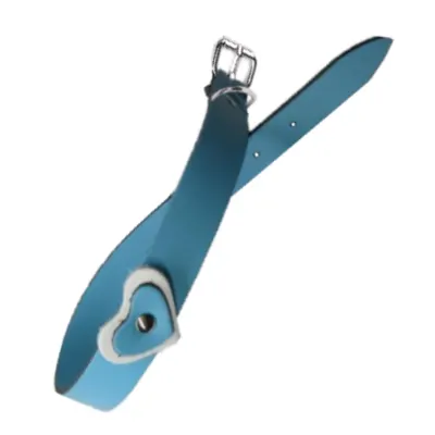 Zgarda Caine Streetside Inima 2.0/45 cm Albastru Nr 2