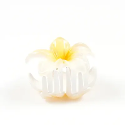 Cleste par floare alba cu detalii galbene