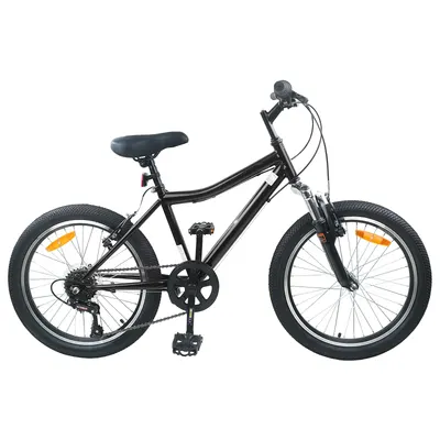 vidaXL Bicicletă pentru Copii 20 Inci 6-Viteză pentru 6-11 ani Negru