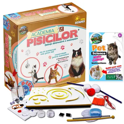 Joc educativ - Academia Pisicilor