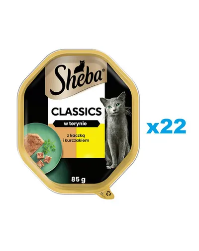 SHEBA Classics 22x85 g tava hrana umeda pisici, rata si pui in terina