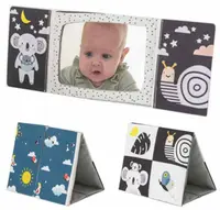 Carte cu oglindă Taf Toys