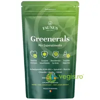 Greenerals Pudra Superaliment pentru Energie si Vitalitate 300g