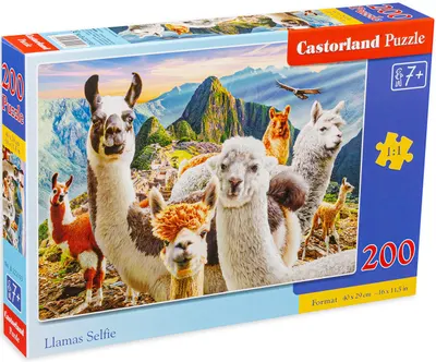 Puzzle Castorland din 200 de piese - Llama Selfie
