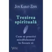 Trezirea spirituala