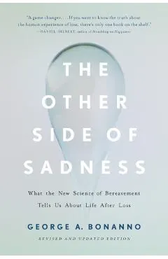 The Other Side of Sadness (Revised)