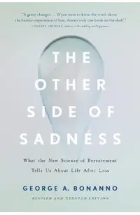 The Other Side of Sadness (Revised)