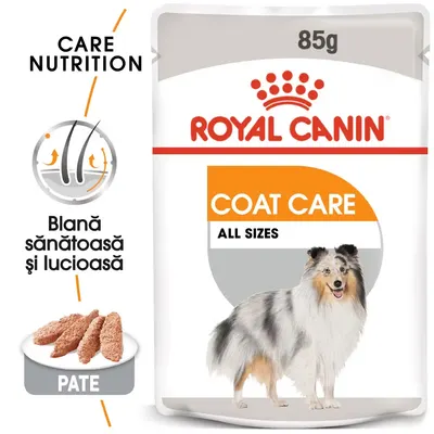 Royal Canin Coat Care Adult hrana umeda caine, blana sanatoasa si lucioasa (pate), 85 g