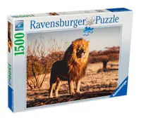 Puzzle Ravensburger din 1500 de piese - Leul - regele junglei