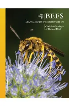 The Lives of Bees: A Natural History of Our Planet's Bee Life