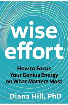 Wise Effort: How to Focus Your Genius Energy on What Matters Most