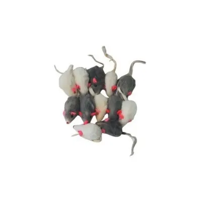 Jucarie Soricel Plus