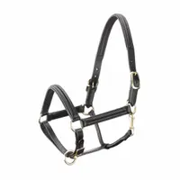 Licol Tattini din piele cu căptușeală bombată