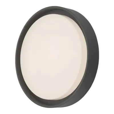 Lampa suspendata pentru exterior Ralph Large Outdoor Wall Light Anthracite IP65 LED