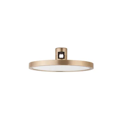 Sistem iluminat pe sina DECORATIVE MAGNETIC Satin Auriu Aluminiu IP20 3000K 15W DC24V 1100Lm