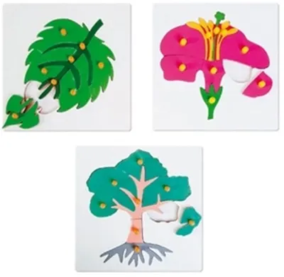 Puzzle din lemn Nowa Szkola - Plante botanice
