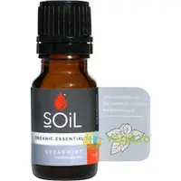 Ulei Esential de Menta Creata (Spearmint) Ecologic/Bio 10ml