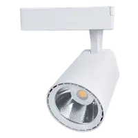 Spot Sky Tl5020 Cob 20w 220-240v 6400k 36° White