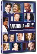 Anatomia lui Grey