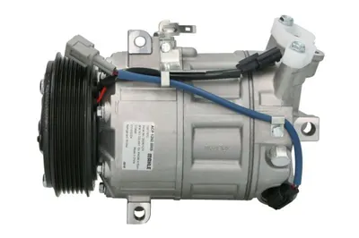 Compresor Climatizare Potrivit Nissan X-Trail Ii; Renault Grand Scenic Iii, Kaptur, Laguna Iii, Megane, Megane Iii, Scenic Iii 2.0 2.0alk 03.07