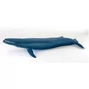 Figurina balena albastra, Papo