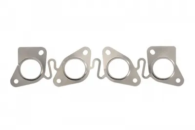 Garnitura galerie evacuare (4 cilindri: 1; 2; 3; 4) potrivit RENAULT GRAND SCENIC III, MEGANE, MEGANE III, SCENIC III 1.4 02.09-09.16