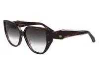 Ana Hickmann AH9431 E01