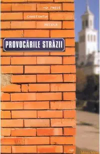 Provocarile strazii