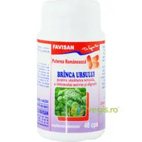 Branca Ursului 40cps