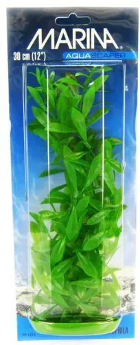 Marina Plante Hygrophila 30 cm PP1213