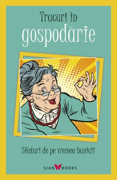 Trucuri în gospodărie - Paperback brosat - Lili Dănilescu