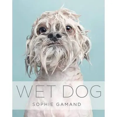 Wet Dog