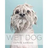 Wet Dog