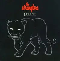 Feline