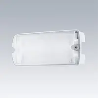 Thorn Eco 96635656 Sam 4.8W LED 269lm / 155lm 3H Mentinut/Nementinut M/AT WH Pictograma inclusa IP65