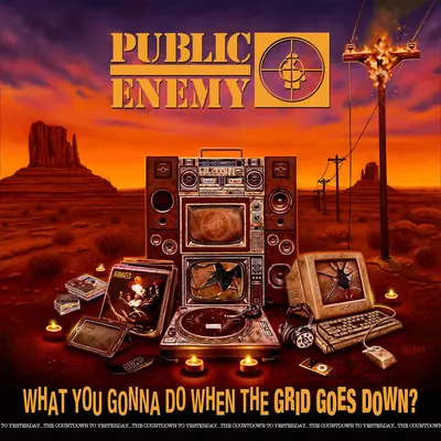 What You Gonna Do When The Grid Goes Down? - Vinyl