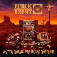 What You Gonna Do When The Grid Goes Down? - Vinyl