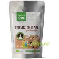 Shiitake Pulbere Ecologica/Bio 250g