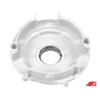As-Pl Sg0012