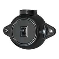 Antique One Button Two Way Switch 10а 250v Black
