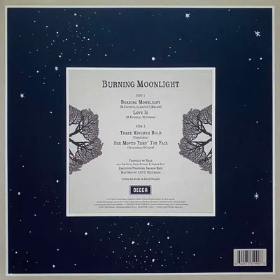 Burning Moonlight - Vinyl