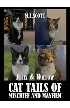 Felix & Willow cat tails of mischief and mayhem