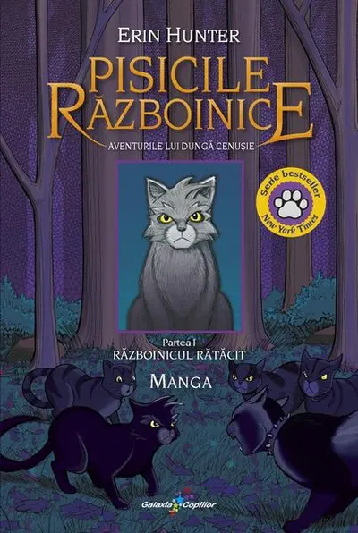 Aventurile lui Dungă Cenușie – Războinicul rătăcit (Vol. 1) - Paperback brosat