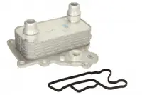 Termoflot radiator ulei (cu garnitura) ALFA ROMEO GIULIETTA; FIAT 500L, 500X, BRAVO II, DOBLO, TIPO; JEEP RENEGADE; OPEL COMBO, COMBO TOUR 1.6D dupa 2007