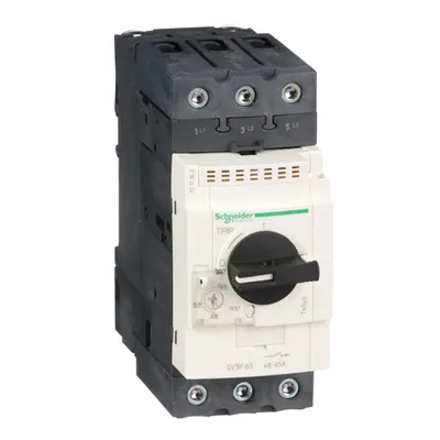 Tesys GV3-intreruptor termo-magnetic - 48…65A - Conectori BTR everlink