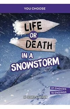 Life or Death in a Snowstorm: An Interactive Survival Adventure